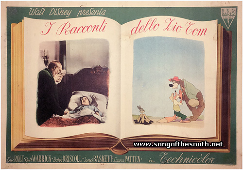 Italian Photobusta (Set of 12)